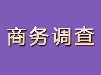 广汉商务调查